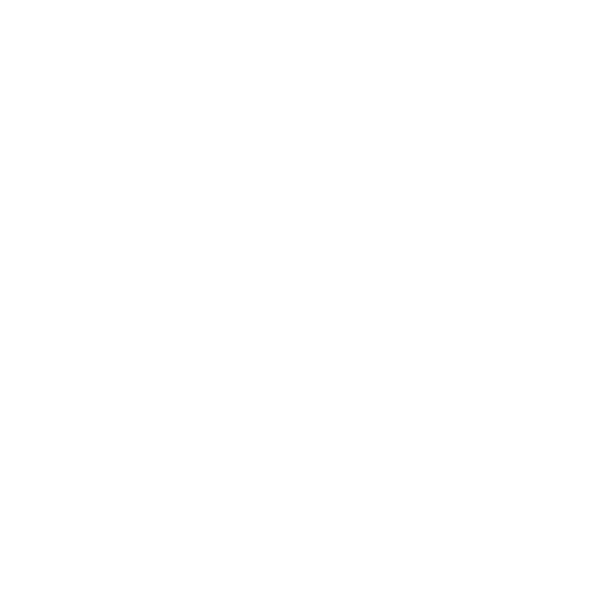 APIS Garment
